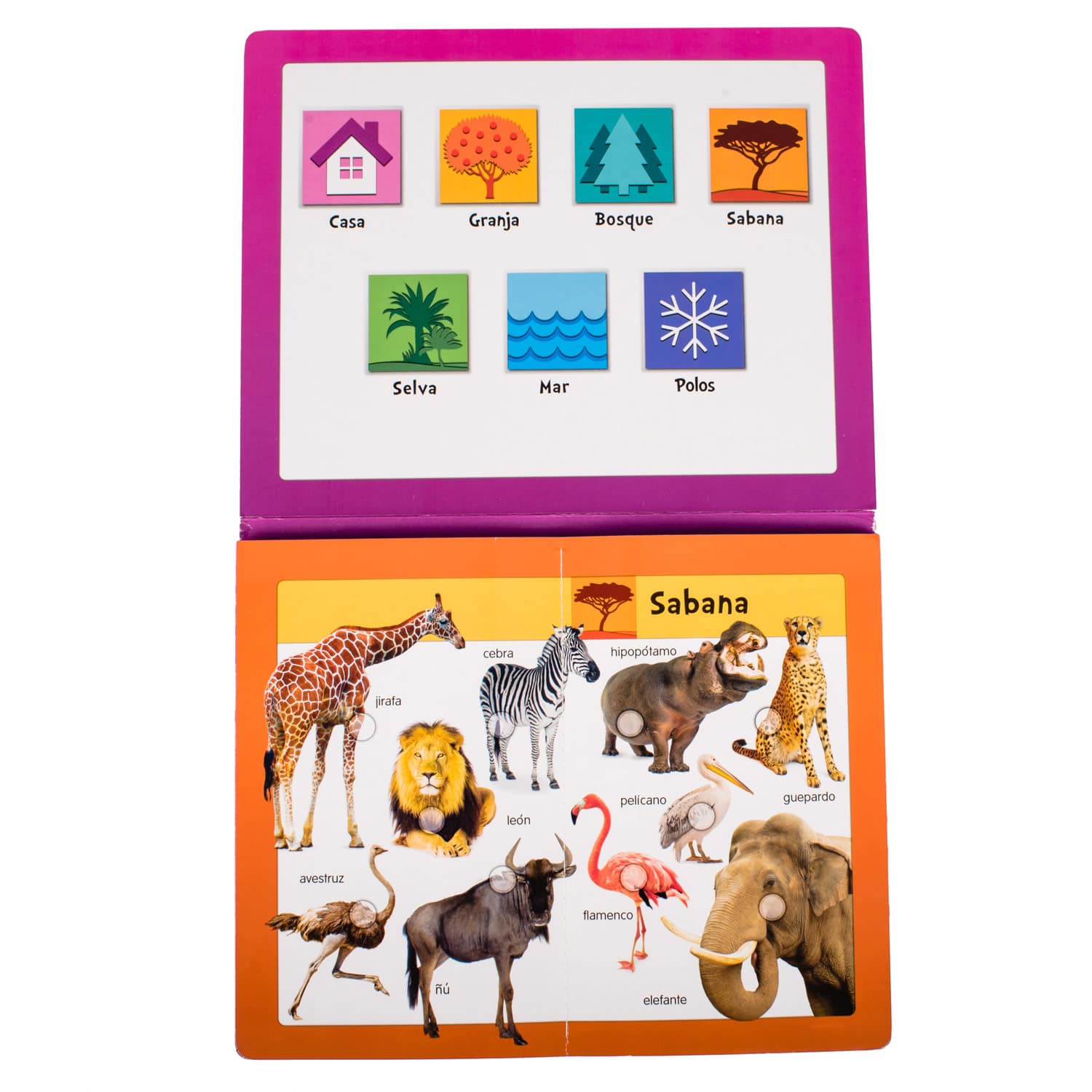 BabyPad Animales - Imagen 2