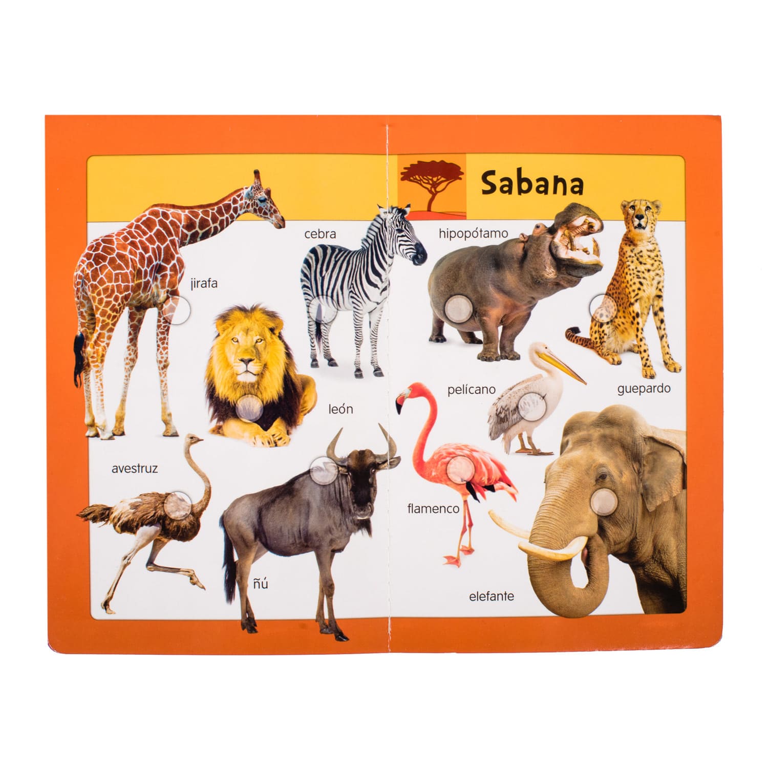 BabyPad Animales - Imagen 5