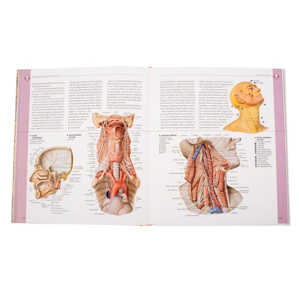Atlas Ilustrado de Anatomía - Imagen 4