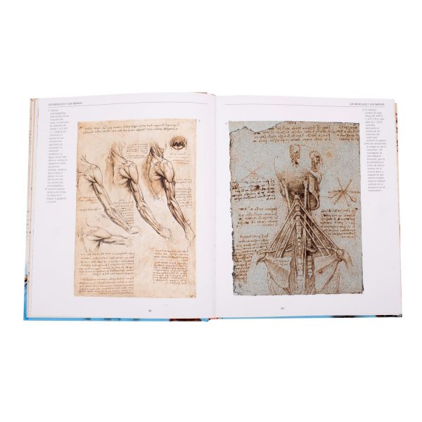 Atlas Ilustrado de Leonardo: Anatomía, el Vuelo y las Máquinas - Imagen 3