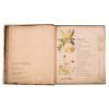 Atlas de las Plantas Medicinales y Curativas - Imagen 2