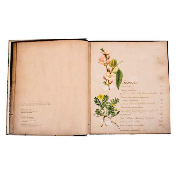 Atlas Ilustrado Plantas Silvestres e Infusiones Curativas - Imagen 2