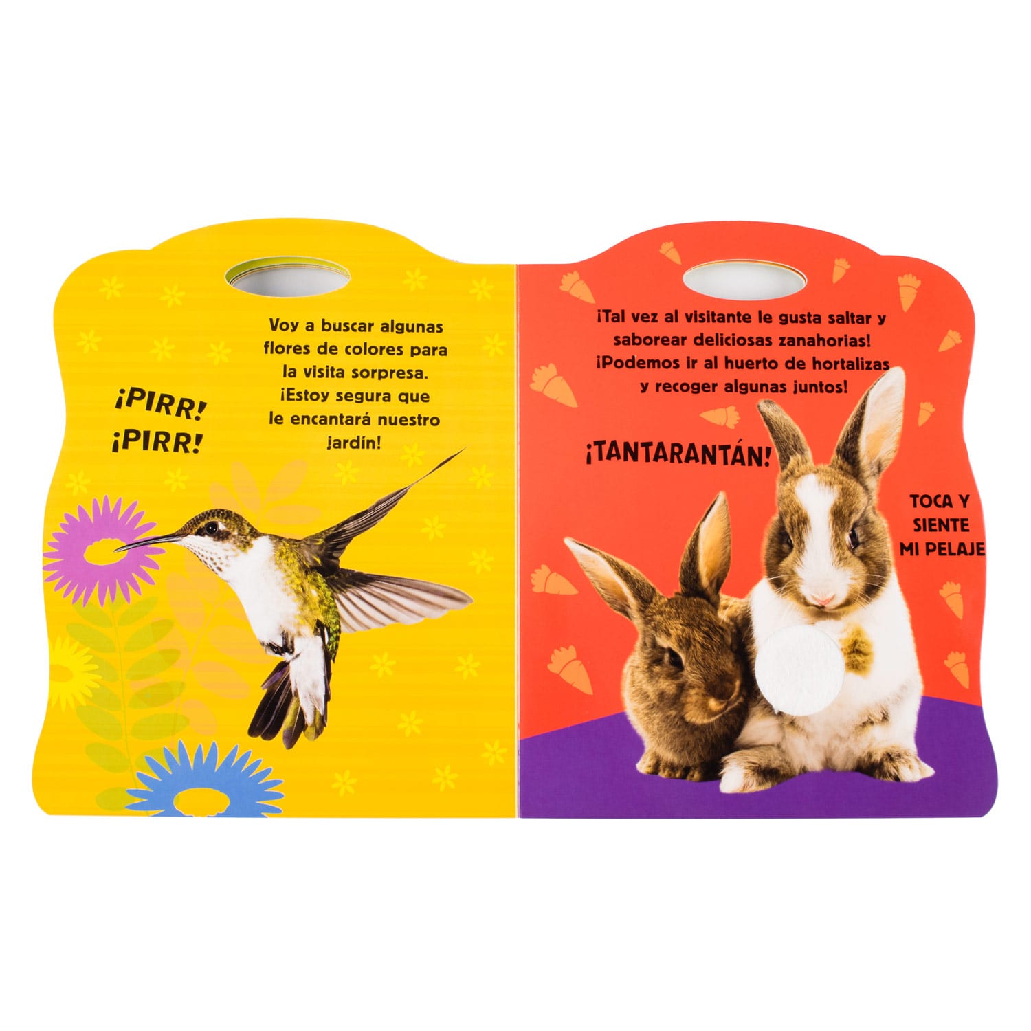 Animales de Jardín Toca y Siente - Imagen 3