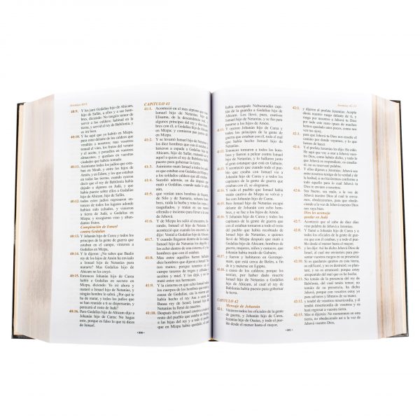 La Santa Biblia Reina Valera - Imagen 3