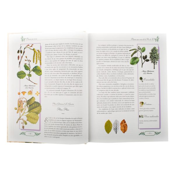 Plantas que curan - Imagen 2