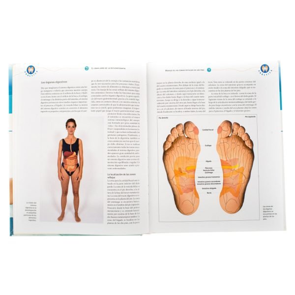 El gran Libro de la Reflexoterapia - Imagen 3