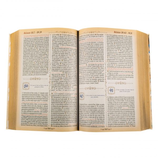 Sagrada Biblia Dorada Mediana - Imagen 4