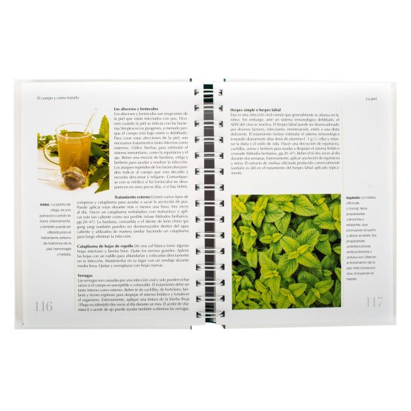 Plantas Medicinales: Guía Práctica - Imagen 3