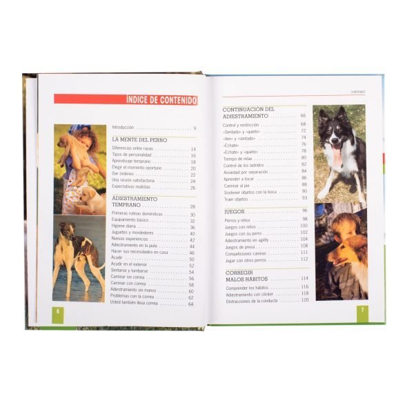 Adiestramiento Canino - Imagen 2