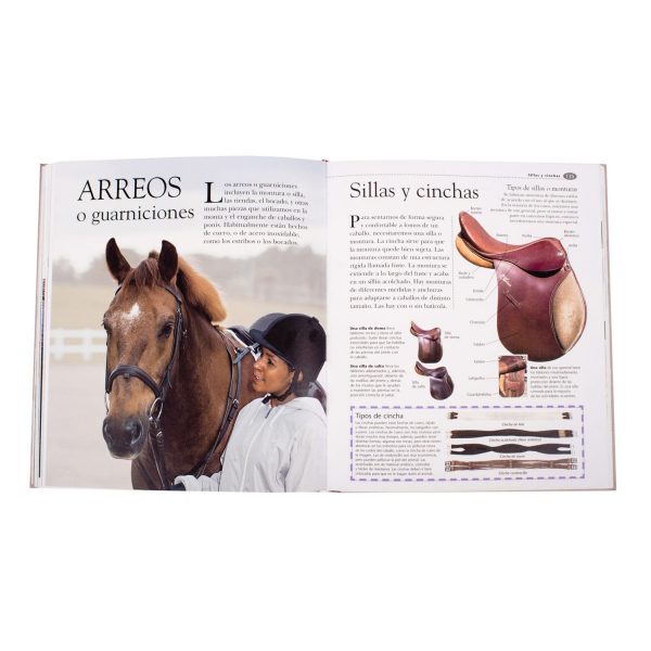 Atlas Ilustrado de los Caballos y Ponis - Imagen 3