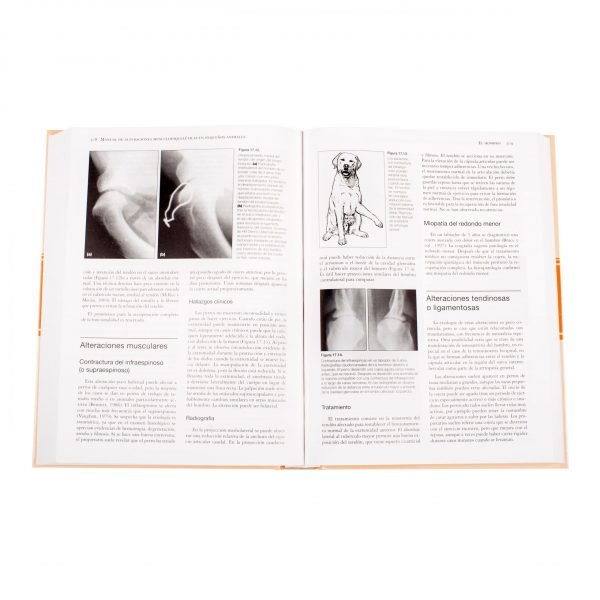 Manual de Alteraciones Musculoesqueléticas - Imagen 3