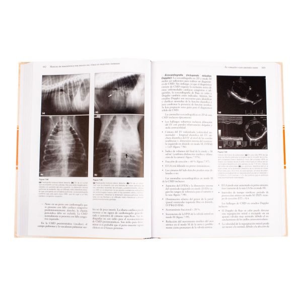 Manual de Diagnóstico por Imagen del Tórax - Imagen 3