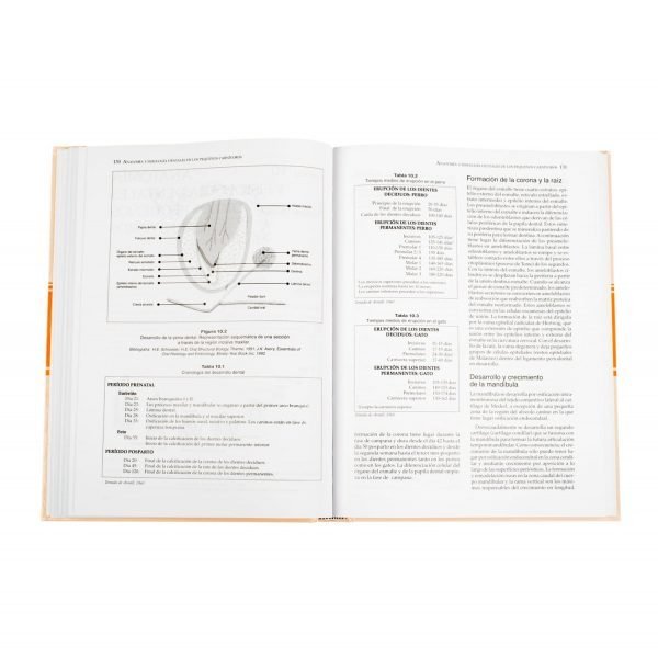 Manual de Odontología en Pequeños Animales - Imagen 3