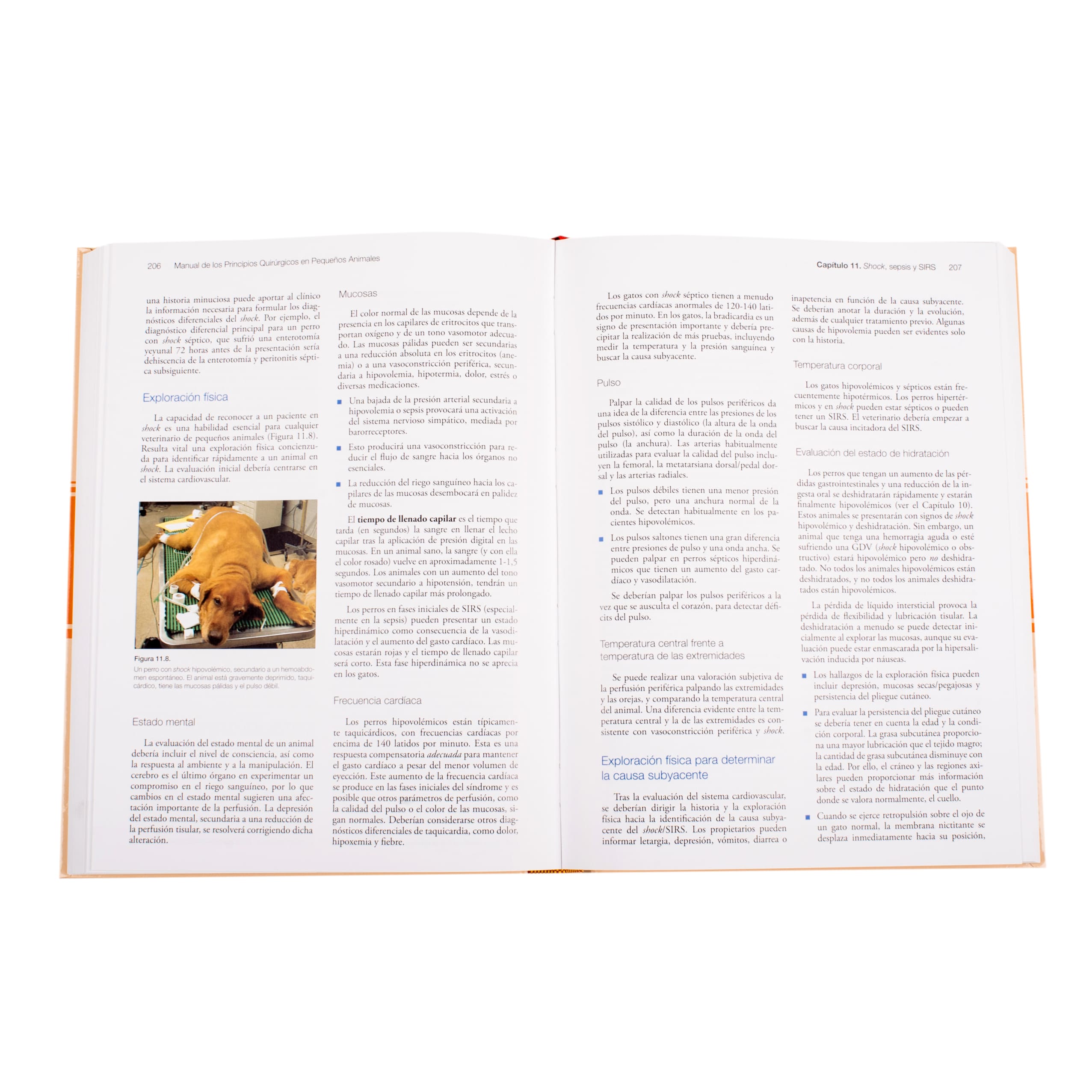 Manual de los Principios Quirúrgicos en Pequeños Animales - Imagen 3