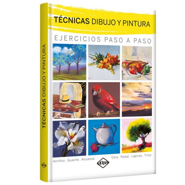 Libro Técnicas Dibujo y Pintura