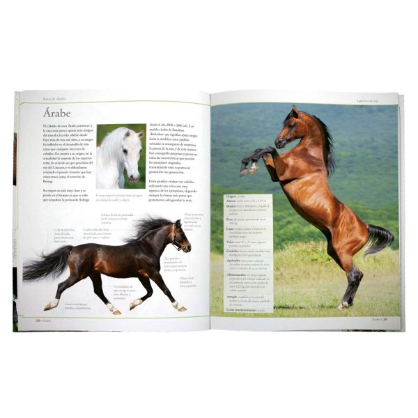 Enciclopedia de las Razas de Caballos - Imagen 2