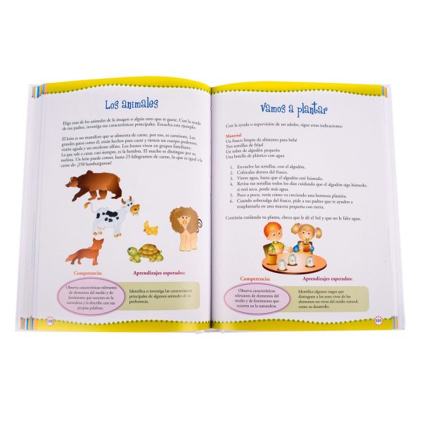 Actividades Dinámicas Preescolar - Imagen 3