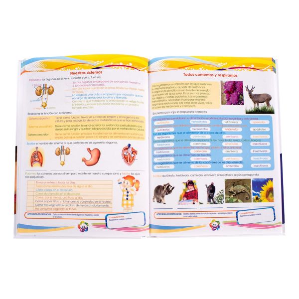 Actividades Dinámicas Primaria - Imagen 3