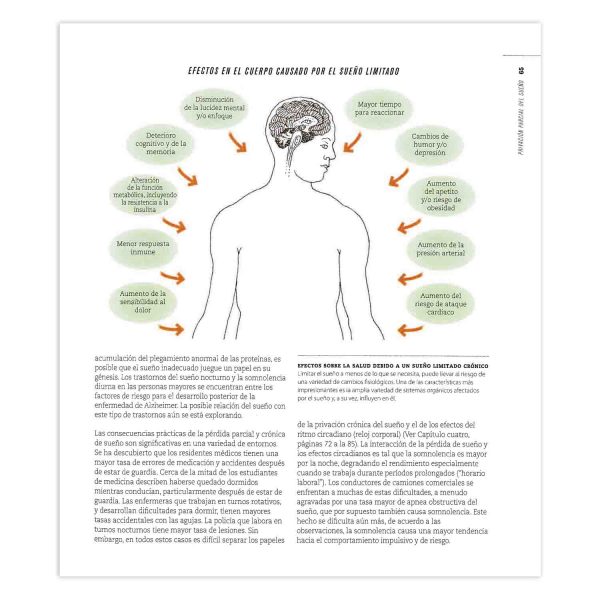 La Ciencia del Sueño - Imagen 4