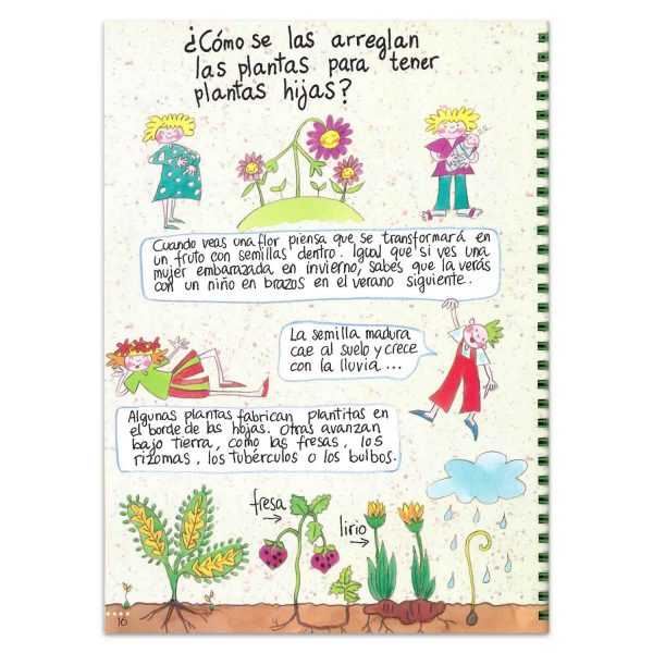 Jardinería para Niños - Imagen 3