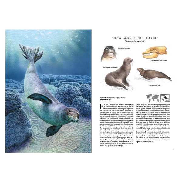 Animales Extintos - Imagen 3