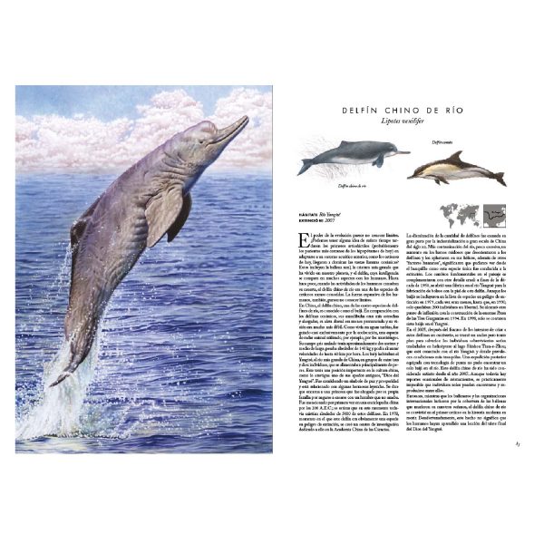 Animales Extintos - Imagen 2
