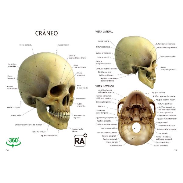 Gran Libro del Cuerpo Humano - Imagen 2