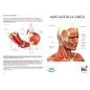 Gran Libro del Cuerpo Humano - Imagen 3
