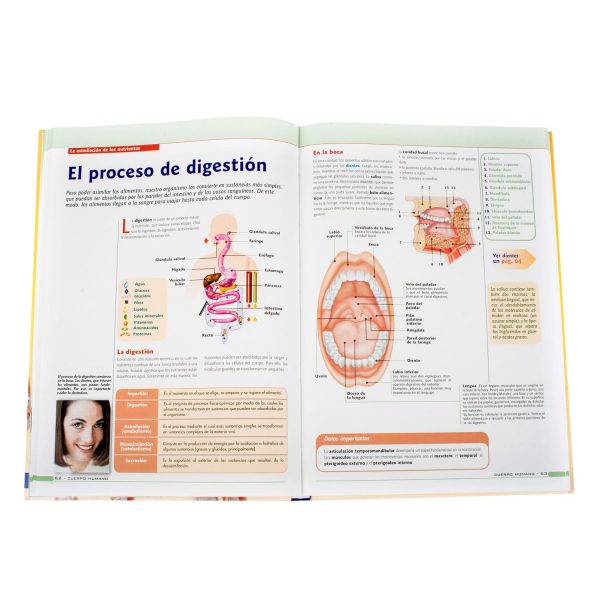 El Cuerpo Humano: Fisiología y Anatomía - Imagen 3