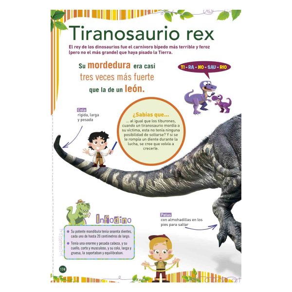 Dinosaurios Gran Safari - Imagen 4