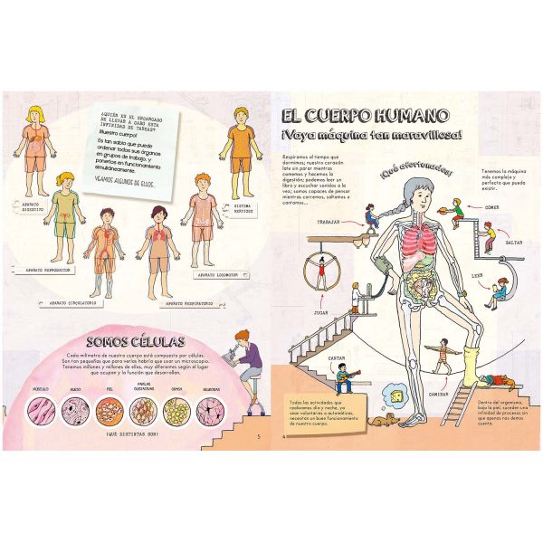 Descubre El Cuerpo Humano - Imagen 2