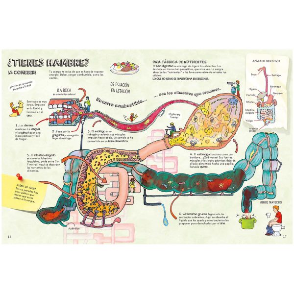Descubre El Cuerpo Humano - Imagen 3