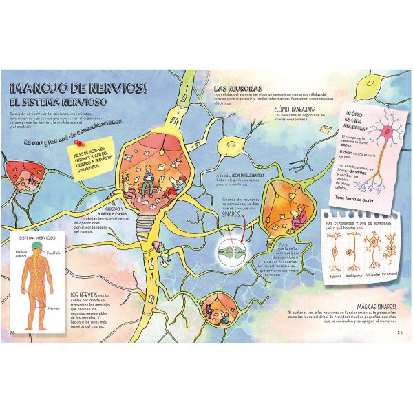 Descubre El Cuerpo Humano - Imagen 4