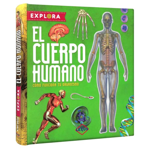 Explora El Cuerpo Humano