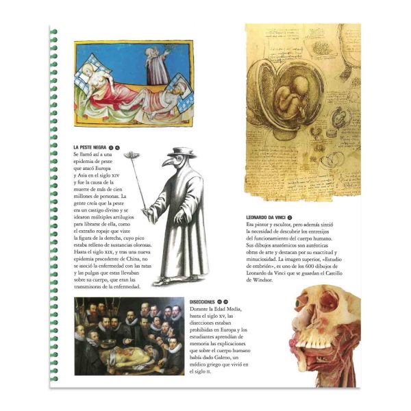 Explora El Cuerpo Humano - Imagen 2