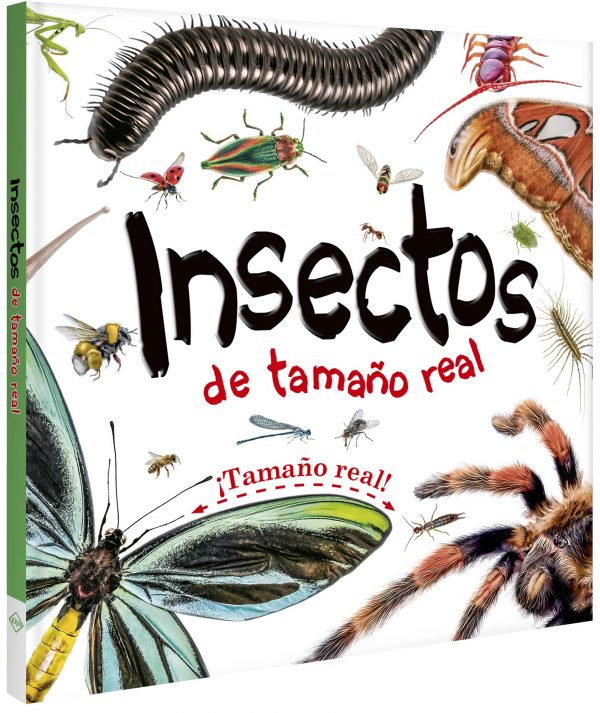 Insectos de Tamaño Real