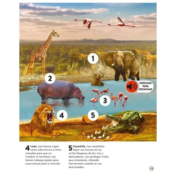 Libro - reino animal sonidos