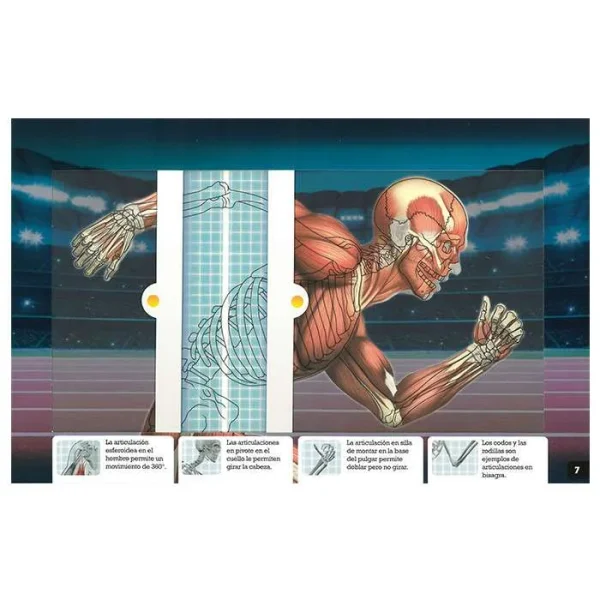 Libro Scanorama cuerpo humano