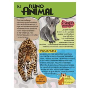Mi Gran Libro de Animales | Lexus Editores Bolivia