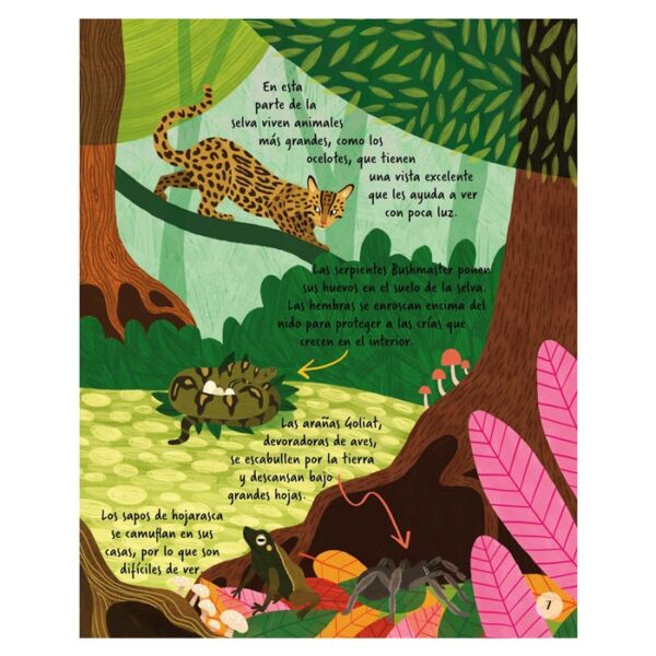 libro-exploremos-animales