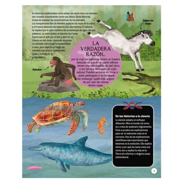 libro-historia-vida