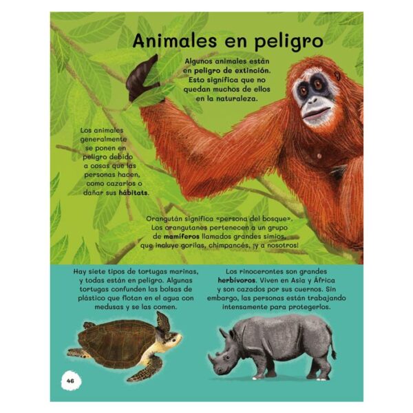 libro-todo-sobre-animales