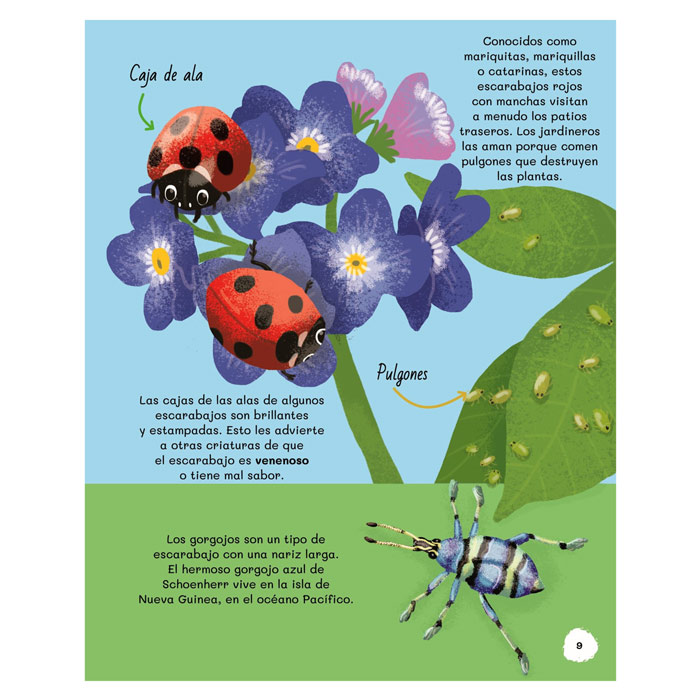 libro-todo-sobre-insectos