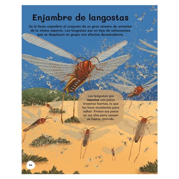 libro-todo-sobre-insectos