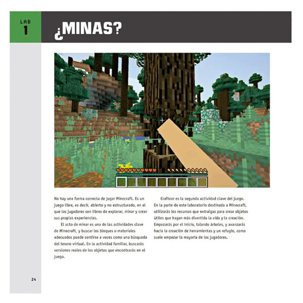 Laboratorio de Minecraft para Niños - Imagen 2