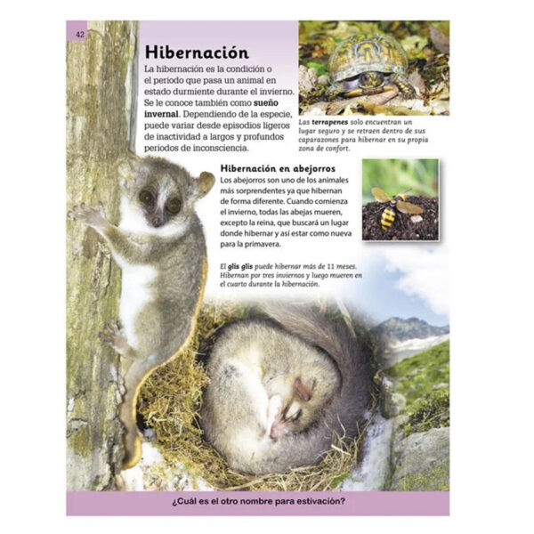 Enciclopedia Ilustrada Mundo Animal - Imagen 2