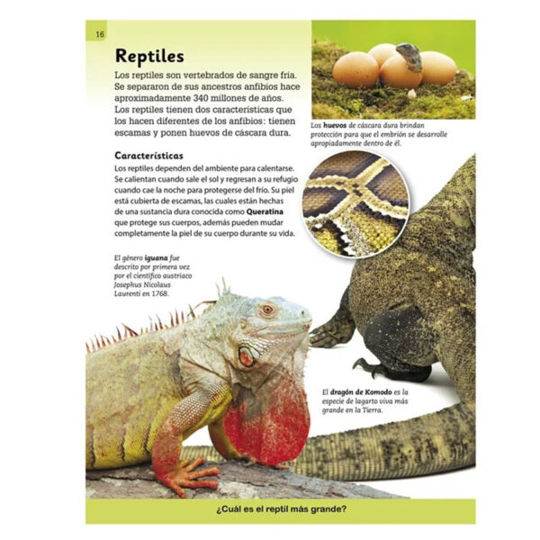 Enciclopedia Ilustrada Mundo Animal - Imagen 4