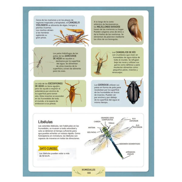 Escuela de la Naturaleza - Imagen 2
