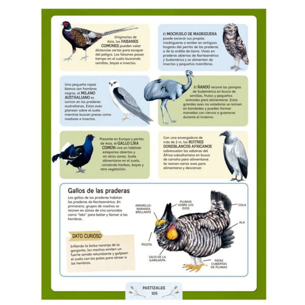 Escuela de la Naturaleza - Imagen 3