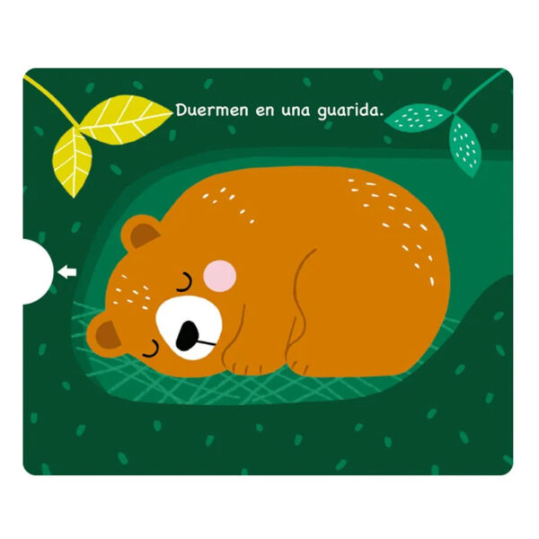 Animales del Bosque - Libro desplegable - Imagen 2